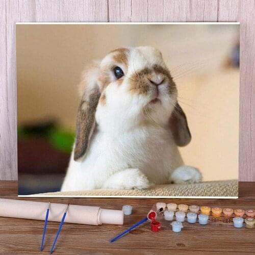 Animal Rabbit DIY Painting By Numbers Package Oil Paints 40*50 Boards By Numbers Home Decoration For Children Art