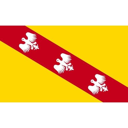 90*150cm France Region Lorraine Flag