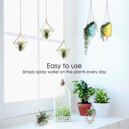 HOTSALE Hanging Tillandsia Air Plants Rack Metal Geometric Iron Art Rustic Flower Planter Pot Plants Rack for Home Garden Rattan