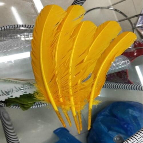 50pcs/Lot 27-35cm natural dyed golden goose feather Quill pen/fan/angel wings accessories ,carnival decorative feather #1