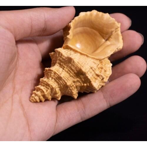 8cm Conch Boxwood Carving Shell Crafts Auspicious Feng Shui Solid Wood Statue Home Decor