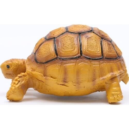 Moquerry Pet Supplies