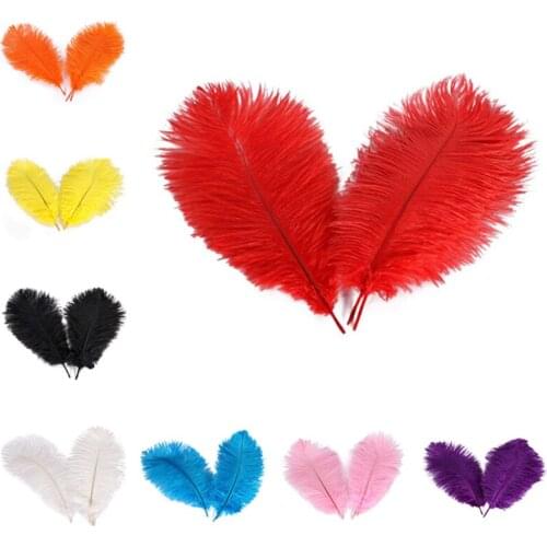 New High quality10Pcs/lot dyeing Ostrich Feather 20-25CM DIY Feathers for needlework crafts Wedding Party Home decoration pluma