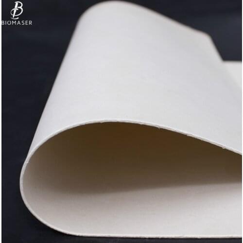 5/10pcs Biomaser Permanent Makeup Practice Skins Tattoo Practice Skins Eyebrown Microblading Practice Skin High Quality