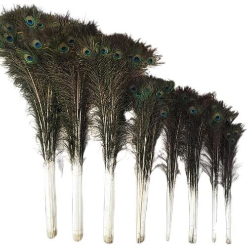 Wholesale Price! 100pcs/lot, length about about 25-30cm,beautiful natural peacock feather! 014003005