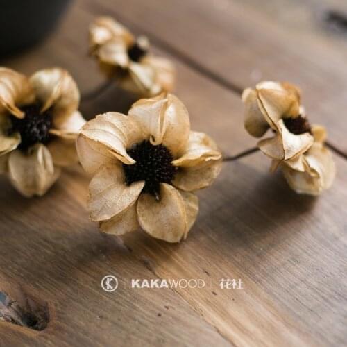 Northern European-Style Soft Decoration Accessories Imported Plant Dried Flowers Eternal Dry Bouquet Fruit Ornament Lantern