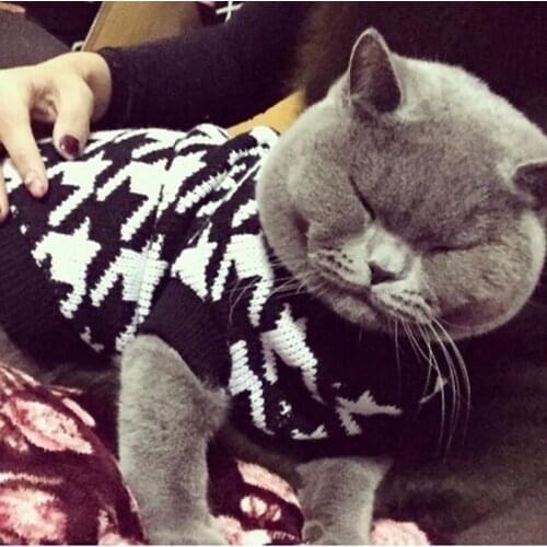 Classic Houndstooth Sweater For Small Cat Sweater Pet Jumper Coat Puppy Cat Clothes Ragdoll Canadian Hairless British Shorthair