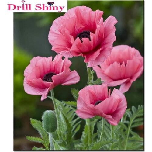 5D Diamond Embroidery Flowers DIY Diamond Painting Cross Stitch kit Mosaic Abstract Oil Painting Resin Craft Home Decoration