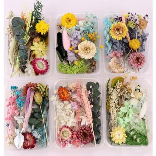 Immortal Dried Flowers Material Handmade Festival Decoration Site Layout DIY Random Mixed Colorful Flowers Material Package