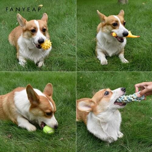 Pet Dog Ball Toys Screaming Chicken Dog Toys Squeeze Sound Pet Cat/Dogs Toys Rubber Chew Toy