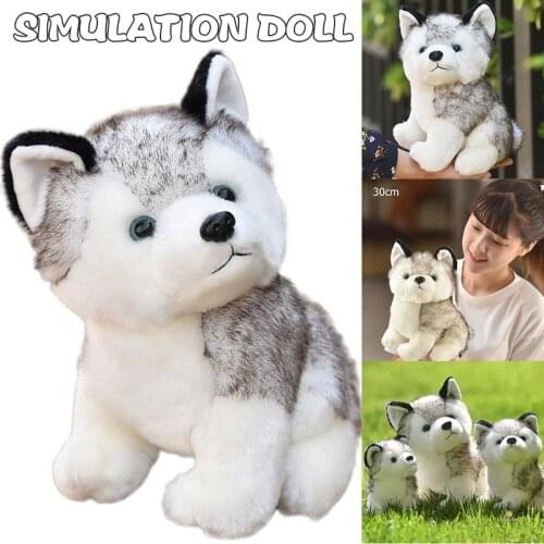 Cute Simulation Pet Dog Realistic Husky Pomsk Soft Stuffed Plush Toy Puppy Animal Doll Kids Boys Girls Christmas Gift In Stock