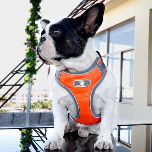 Reflective Dog Harness Waterproof Adjustable Training Nylon Breathable Dogs Harnesses For Small Medium Large Pets Puppy Pitbull