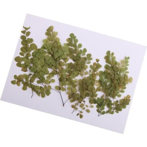 20x Pressed Dried Flower Dry Leaves DIY Resin Necklace Pendant Jewelry Craft