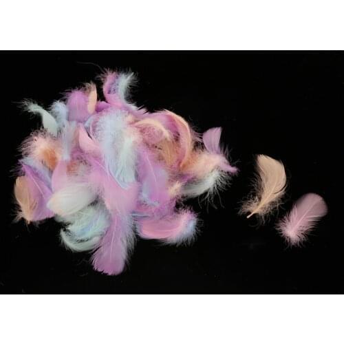 100pcs Beautiful Colorful Goose Feathers Art Craft Dreamcatcher Decoration