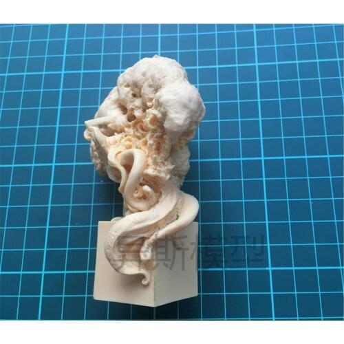 Unpainted Resin Figure Scale Model Kit Octopus Seal GK Assembly Models Kit Resin Colorless Self-Assembled Toy