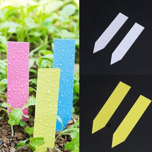 100Pc Pvc Can Print Word Label, Plant Flower Fruit Pot Plug-in Label Horticultural Flower Plastic Seedling Garden Tree Q7K6