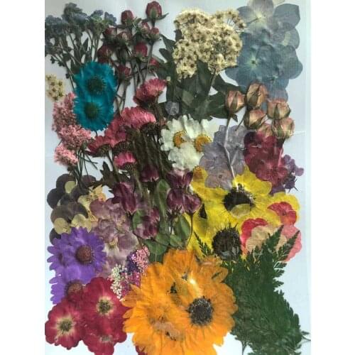 260pcs Assorted Pressed Dried Flowers Leaf Plant Herbarium For Jewelry Pendant Ring Earrings Flower Making Accessories
