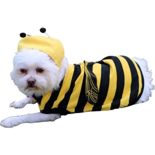 Pet Transformation Dress Polyester Cotton Material Casual Style Yellow Color Little Bee Style High-Quality Comfortable 2021 New