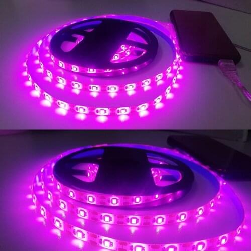 BIGGER LED Plant Lamps