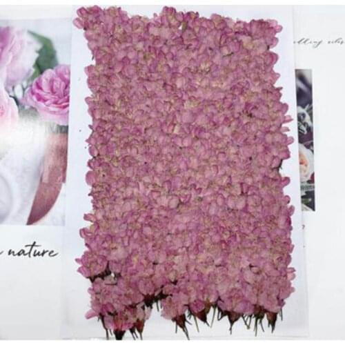 250pcs 3-5cm Pressed Dried Sakura Flowers Plants Herbarium For Epoxy Resin Jewelry Postcard Photo Frame Candle Craft&Art DIY