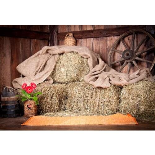 Straw bed house photo background vinyl vintage farmland photo-shot backdrop for photography studio accessories fotografia LV-802