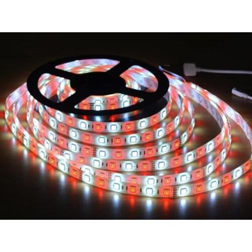Free Shipping 5050 LED Light Strips Decoration Lighting 72Led/M RGBW Ribbon Lamp For Festival Party Bedroom Tape Diode