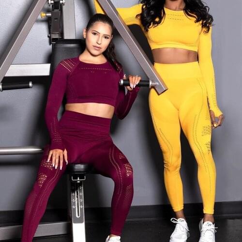 Seamless Long Sleeve Sports Set Workout Clothes Gym Fitness Crop Tops + High Waist Leggings Women Breathable Sportwear Gym Sets