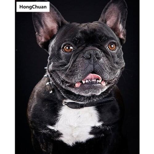 Lucky Dog Fast Delivery 5D DIY Square/Round Diamond Painting Mosaic Diamond Cross Stitch Home Decoration Art Gift