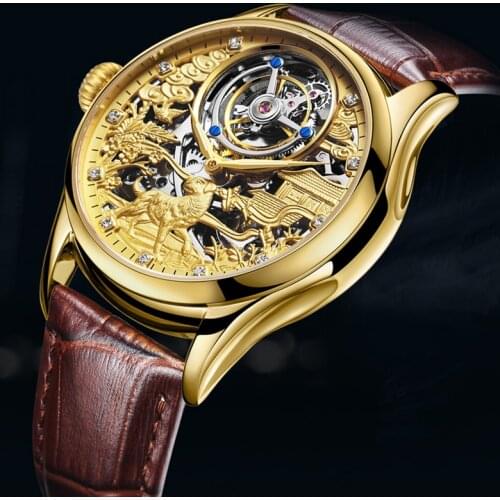 AESOP 100% Real Tourbillon Skeleton Mens Mechanical Watch Sapphire Watch for Men Luxury Casual Classic Tourbillon Watches Mens