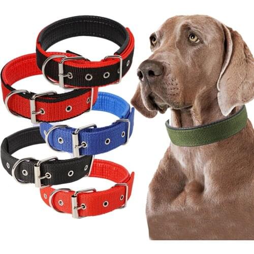 Durable Padded Puppy Big Dog Collars for Small Large Dogs Adjustable Soft Leather Pet Accessories Greyhound Wheeling Supplies