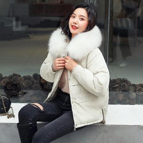 Warm Winter Jacket Fashion Women Winter Coat Hooded False Hair Collar Down Cotton Coat