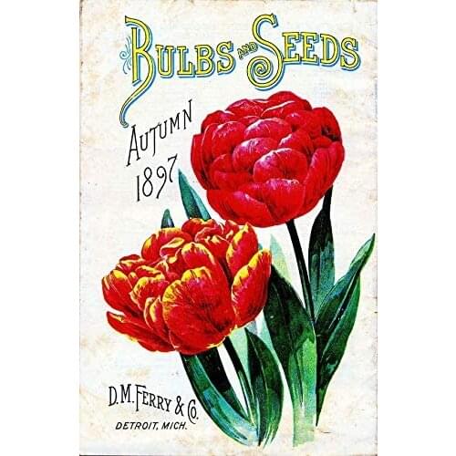 Metal Sign Tulip Seed Bar Cafe Retro Novelty Interesting Wall Decoration Retro Metal Plate Can Be Customized 8X12 Inches