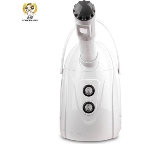 Beauty Instrument Herbal Vaporizer Aroma Ozone ion Face Replenish Sauna Facial Steamer Thermal Steam Humidifier Skin Care Tool