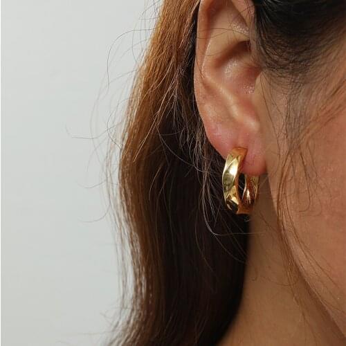 MANGOSKY 925 Silver Stud Earrings for women 925 Silver Auricular Needle 1 Pair