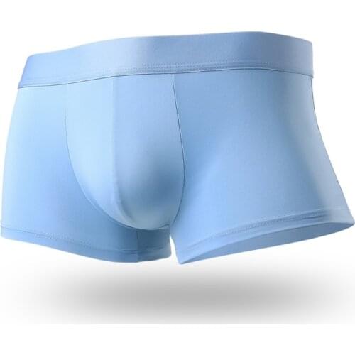 Sexy Mens Underwear Boxers Thin Ice Silk Panties Man Breathable Pouch Underpants Male Boxershort Ropa Interior Hombre Plus Size