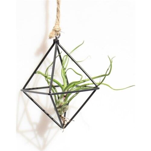 1PC New Hanging Planters Geometric Swing Wrought Iron Tillandsia Air Plants Holder Triangular Shaped Metal Rack