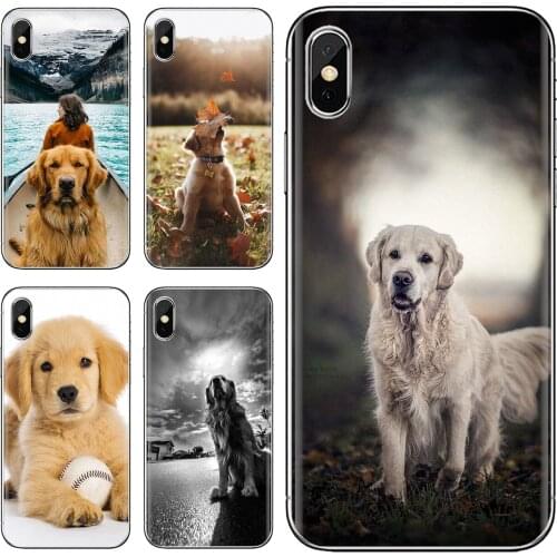 For iPhone iPod Touch 11 12 Pro 4 4S 5 5S SE 5C 6 6S 7 8 X XR XS Plus Max 2020 Animals Golden Retriever Dog Pet Silicone Housing