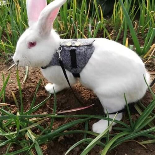 Multipurpose Rabbit Harness Small Pet Leash Chinchillas Vest Clothes X9FA