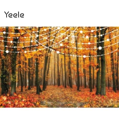 Yeele Photocall Autumn Forest Fallen Leaves Birthday Photography Background Photographic Backdrop For Photo Studio
