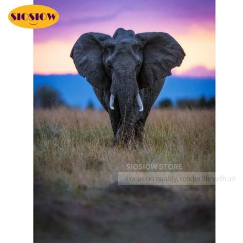DIY 5D Daimond Painting Sunset Full Square Elephant Cross-Stitch Diamond Beads Embroidery Kits Animal Handmade Crafts Home Decor