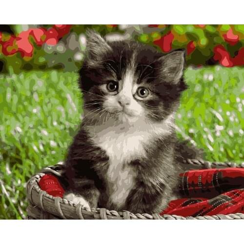 MaHuaf-j064 painting by numbers cat digital hand painted canvas oil painting animal pictures drawing by numbers for home decor