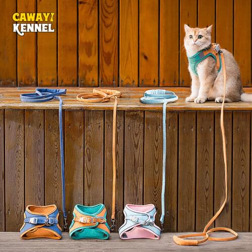 Cawayi Kennel Collars For Cats