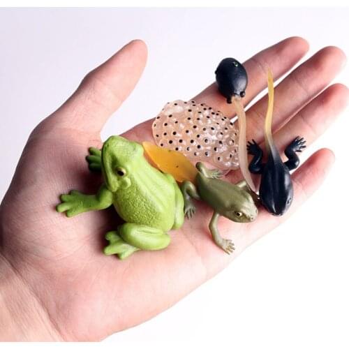 Kids Educational Teaching Toys Plant Seeds Growth Life Cycle Playset Cognitive Toys Montessori Teaching