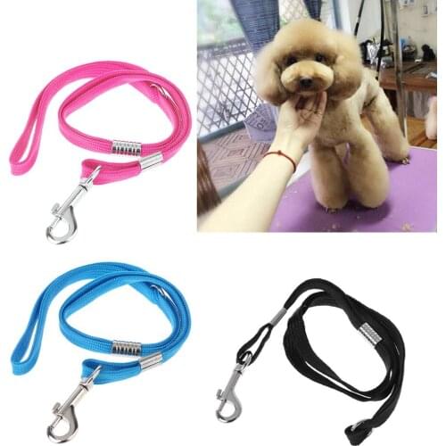 Pet Leash Nylon Cat Dog Grooming Loop Cable Rope Leashes for Beauty Bathing