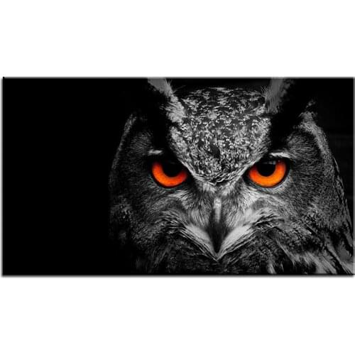Large size Printing Oil Painting owl eye 2 Wall painting Decor Wall Art Picture For Living Room painting No Frame