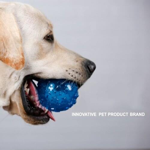 Dog toy molars sound toy ball Pentagram sounding ball