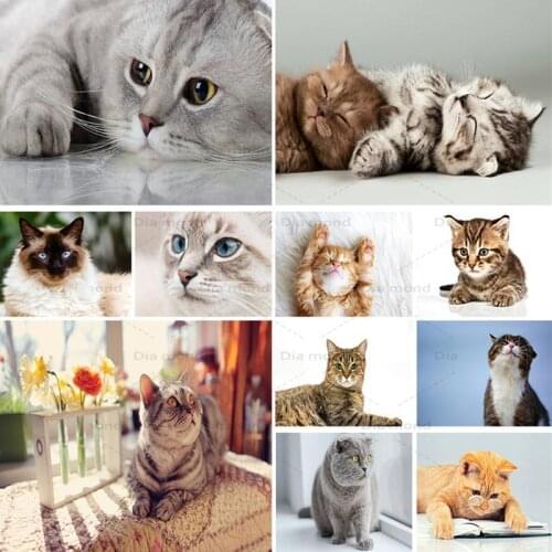 5D DIY Diamond Painting Cat Animal Cross Stitch Kit Full Diamond Embroidery Cat Rhinestone Art Picture Mosaic Home Decoration