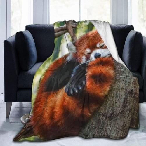 Women Men Sleeping Red Panda Throw Blanket Large Plush Throw Blankets Ultra-Soft Travel Throw Blanket Gifts for Christamas and