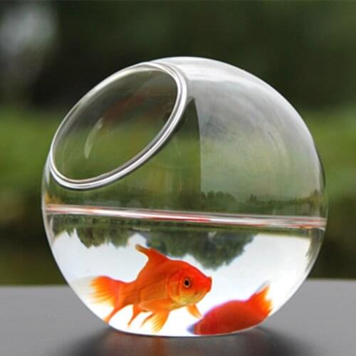 Diameter=12cm Middle Size Transparent Glass Aquarium Home Decorative Handmade Table Fishbowl Glass Terrarium Gift Wedding Props
