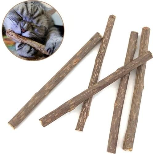 15Pcs Natural Catnip Pet Cat Molar Cleaning Teeth Toothpaste Stick Matatabi Actinidia Fruit Silvervine Cat Snacks Sticks